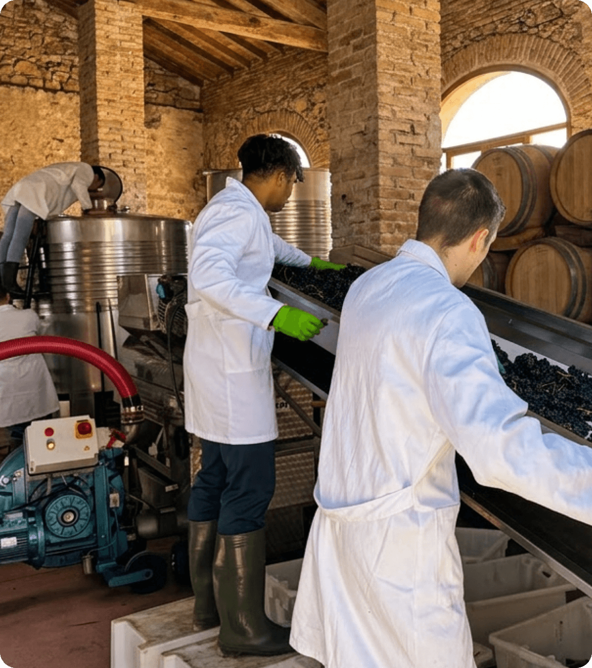 Aprendizaje en bodega